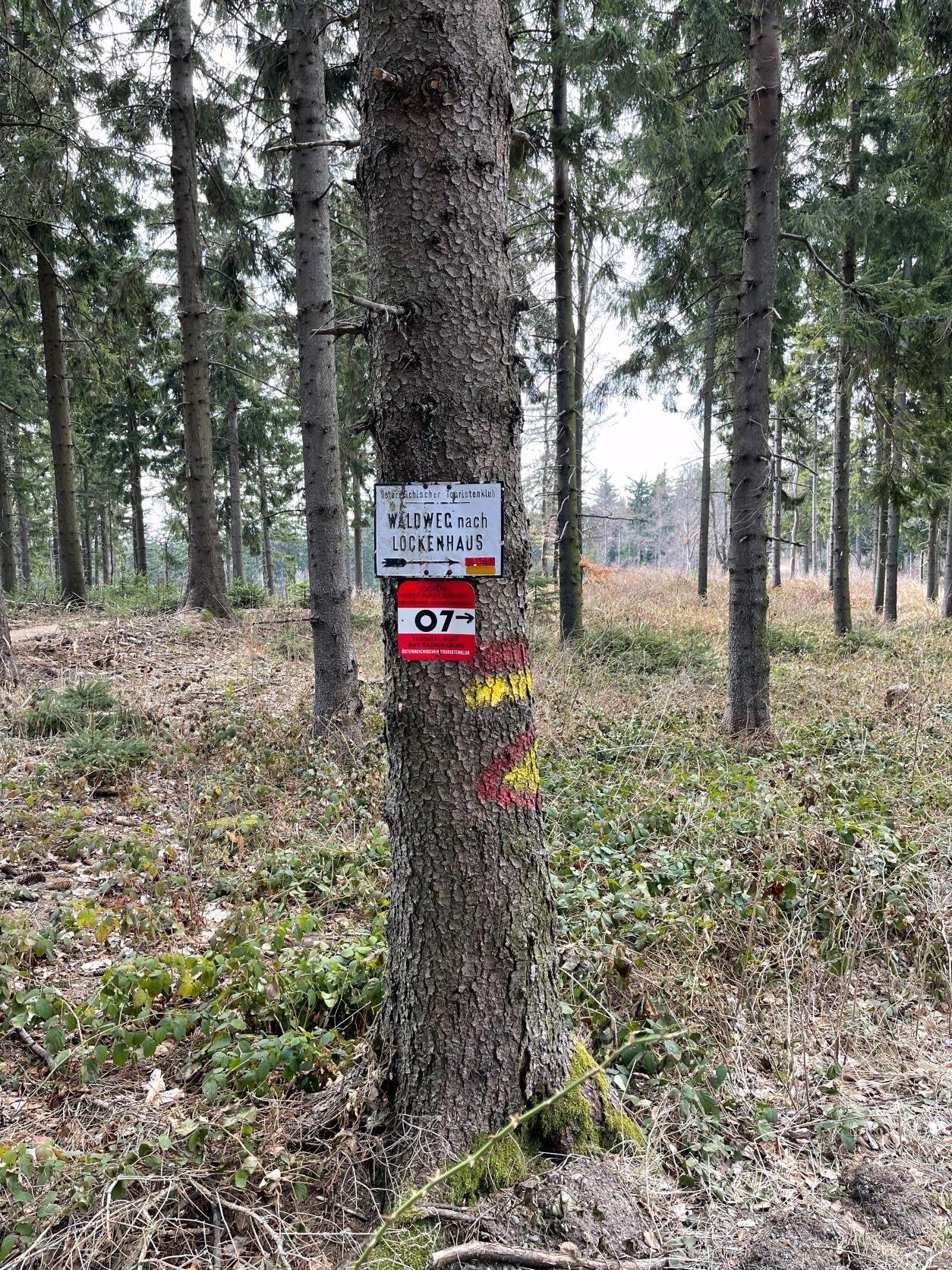 Markierung Wanderweg 07