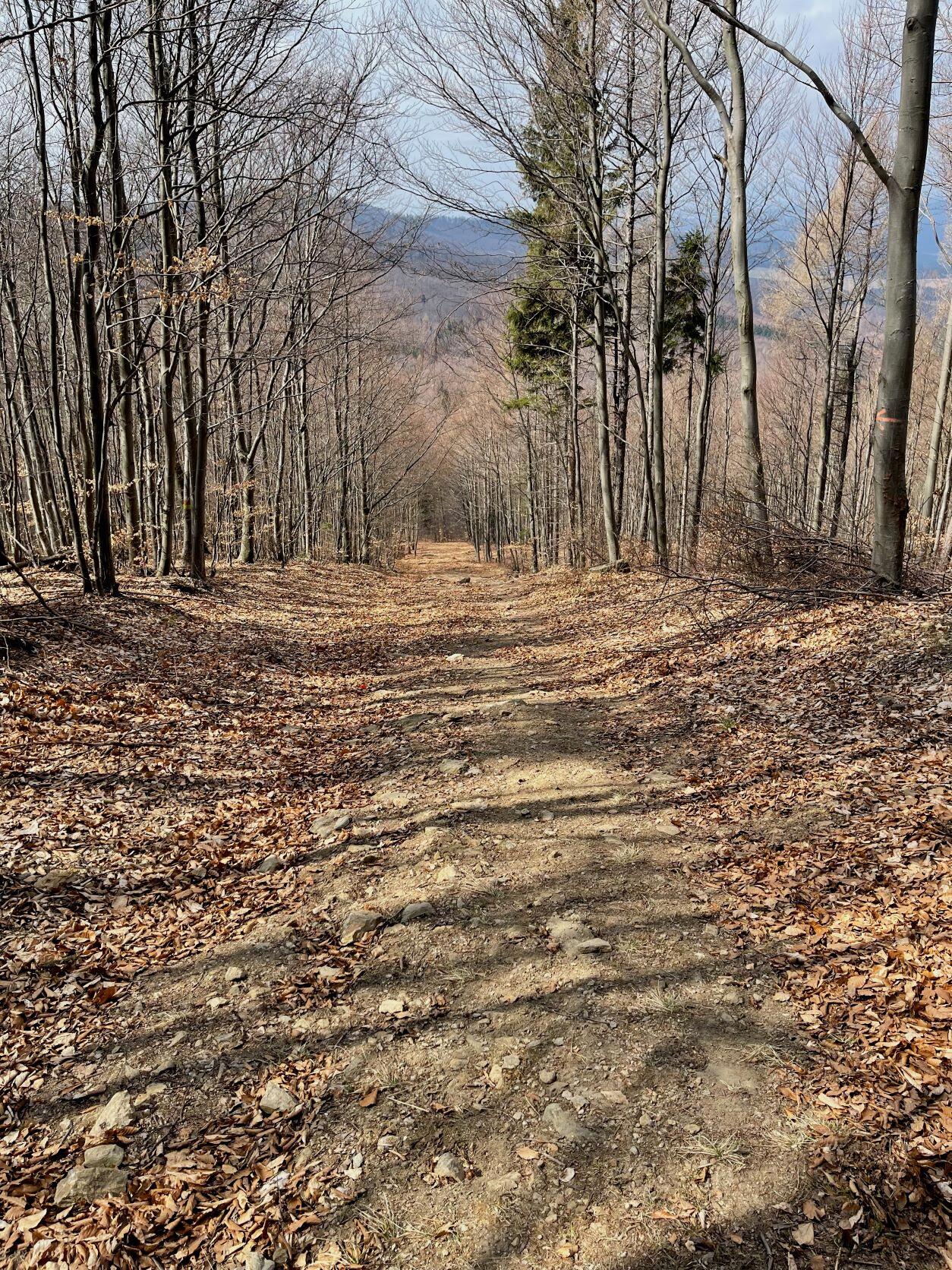 Steiles Wegstück Wanderweg 07
