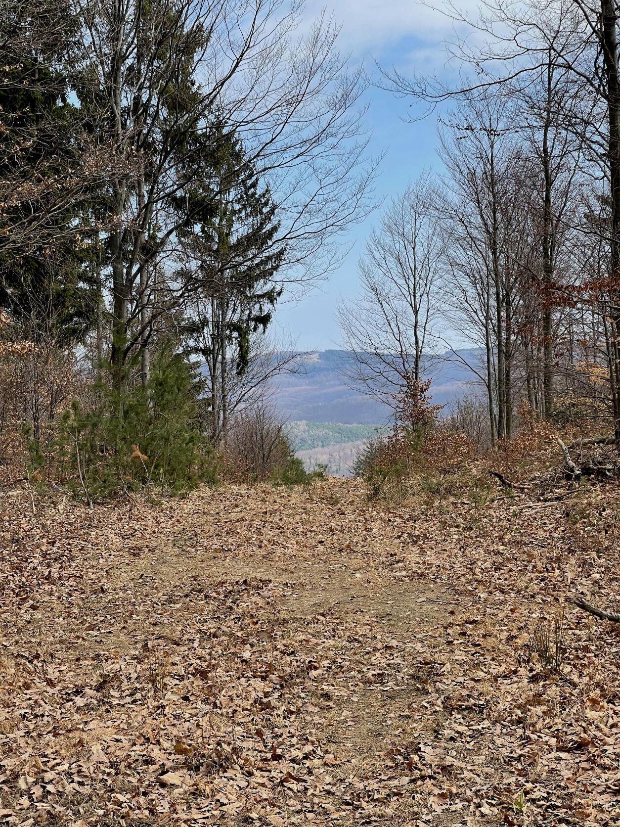 Wanderweg 07 Blick Richtung Ungarn