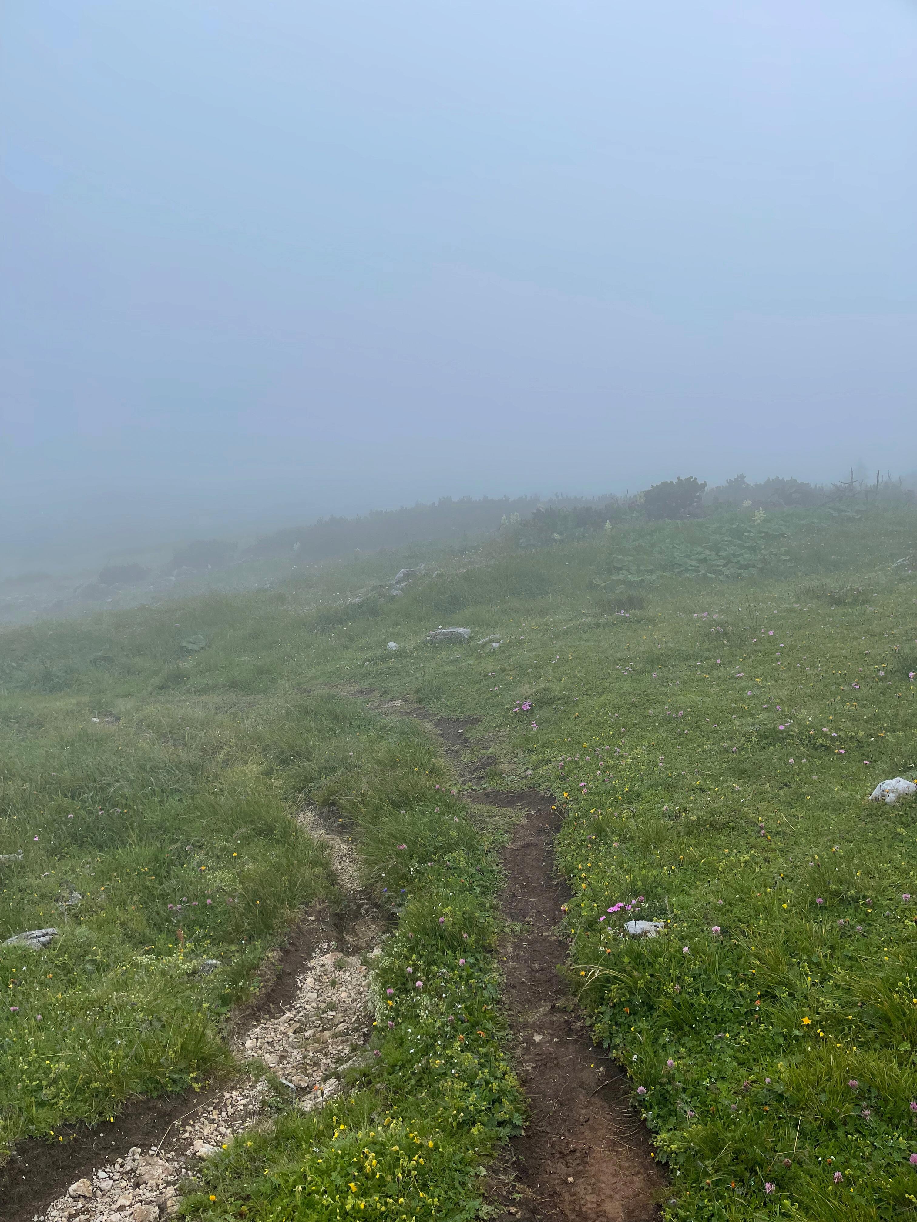 Schneeberg im Nebel