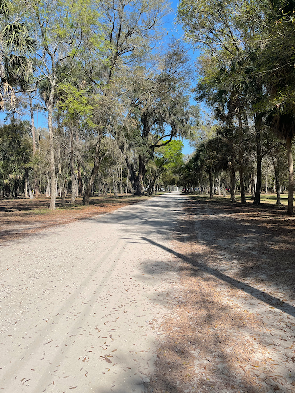 Zufahrt Kingsley Plantation