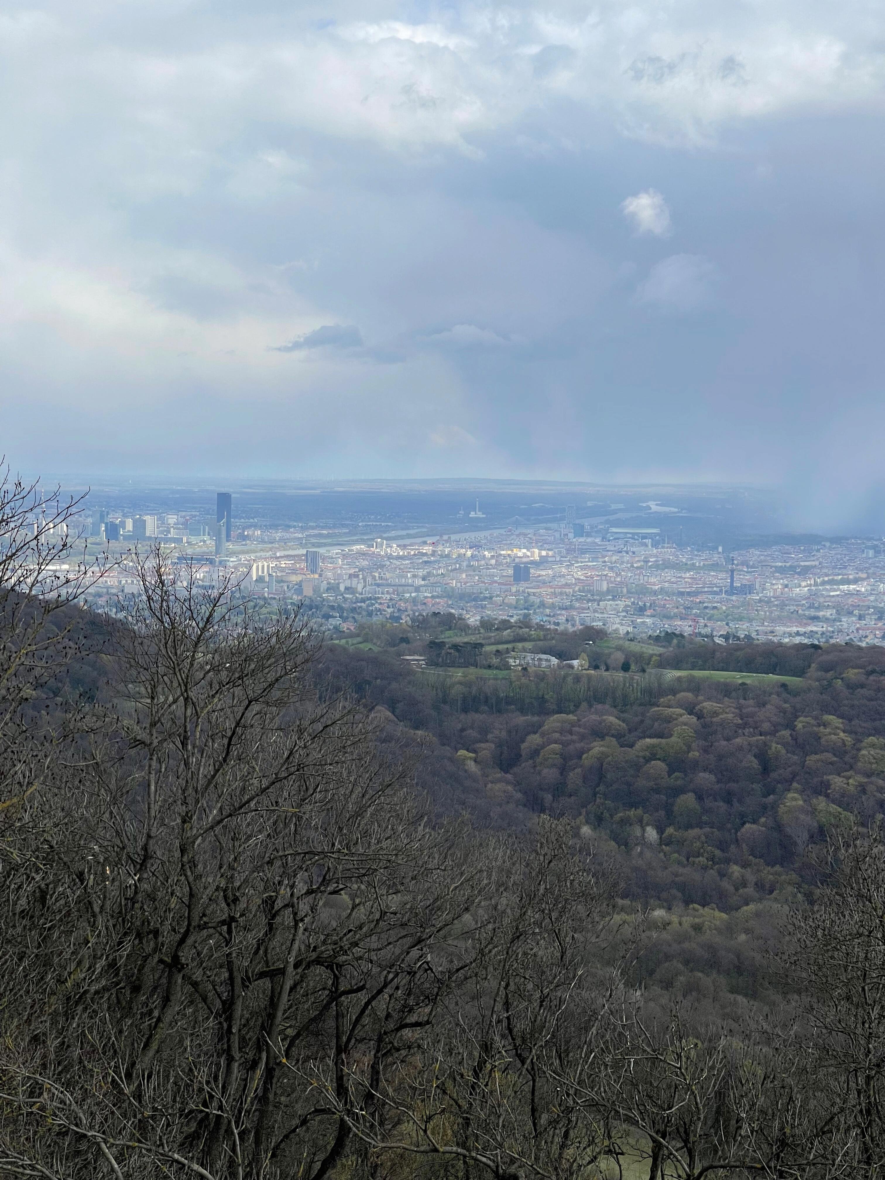 Ausblick auf Wien am Stadtwanderweg 2