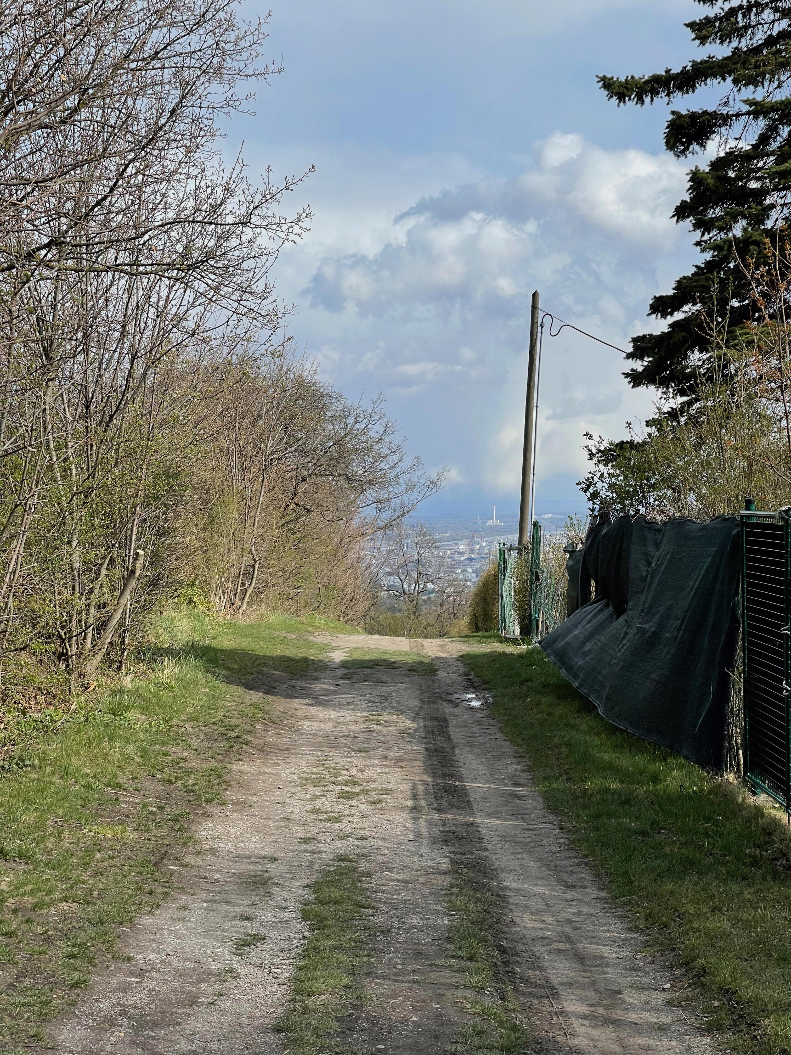 Ausblick Richtung Großstadt vom Cobenzl