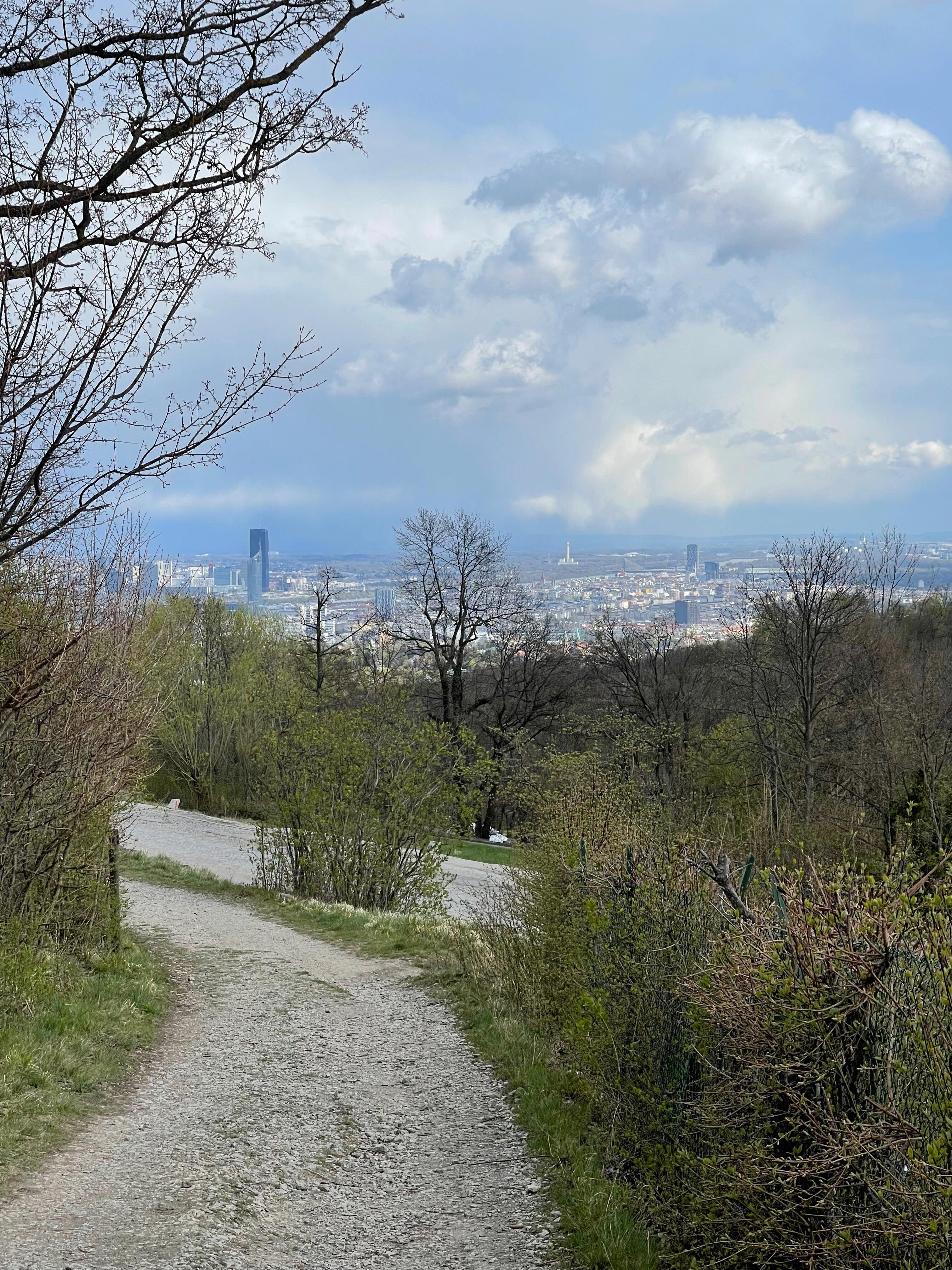 Ausblick Richtung Großstadt vom Cobenzl